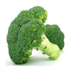 variedades confeccion brocoli